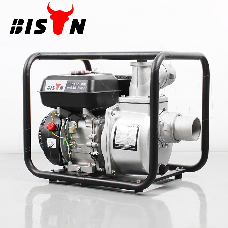 gasoline engine water pump