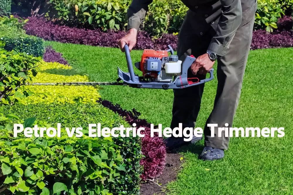 Petrol vs Electric Hedge Trimmers