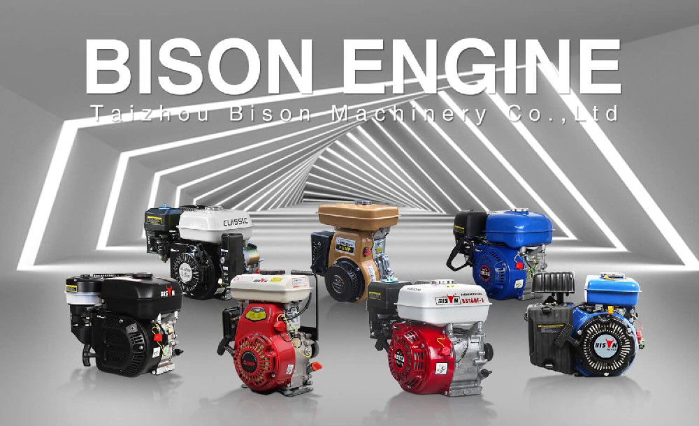 BISON-single-cylinder-small-engine.jpg