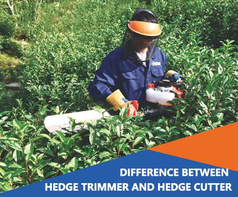 difference-between-hedge-trimmer-and-hedge-cutter.jpg
