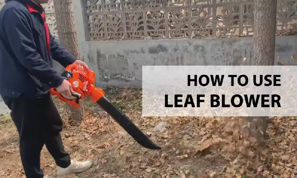 কিভাবে-ব্যবহার করা যায়-a-leaf-blower.jpg