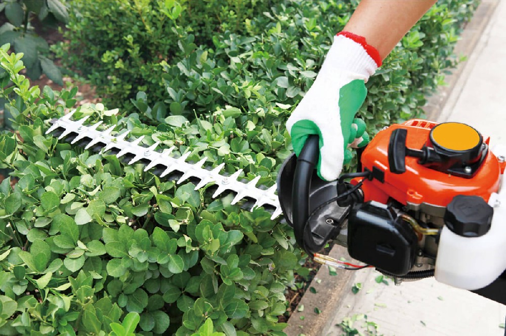 trimming-and-shaping-hedges.jpg