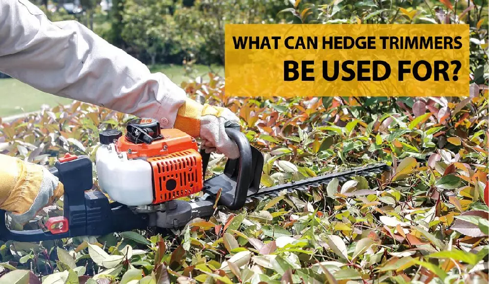 What can hedge trimmers be used for?