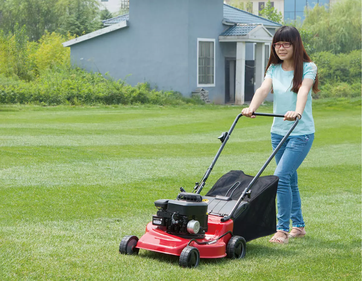 use-a-walk-behind-brush-cutter.jpg