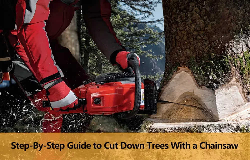 cut-down-trees-with-a-chainsaw.jpg