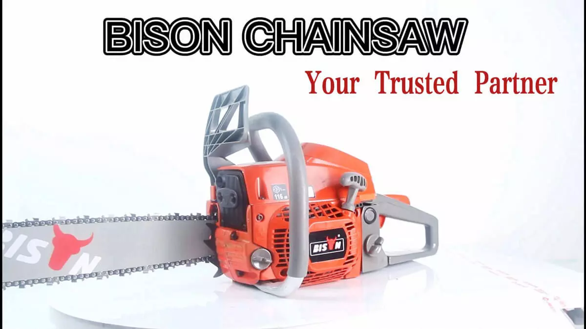 BISON-chainsaw.jpg