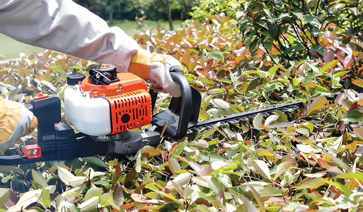 BISON-hedge-trimmer.jpg