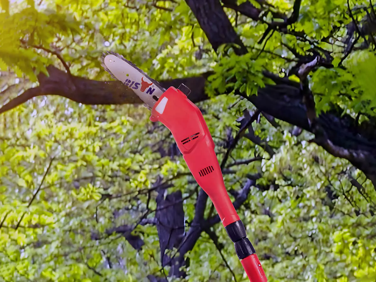 BISON-pole-saw.jpg