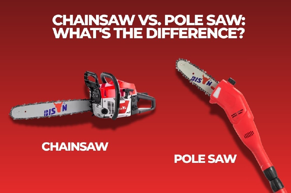 chainsaw-vs-pole-saw.jpg