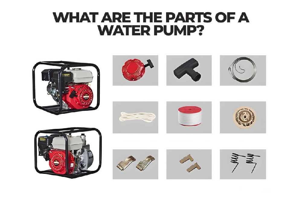 What-are-the-parts-of-a-water-pump.jpg