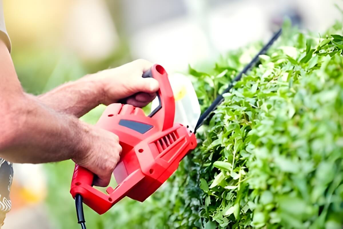 start-an-electric-corded-hedge trimmer.jpg