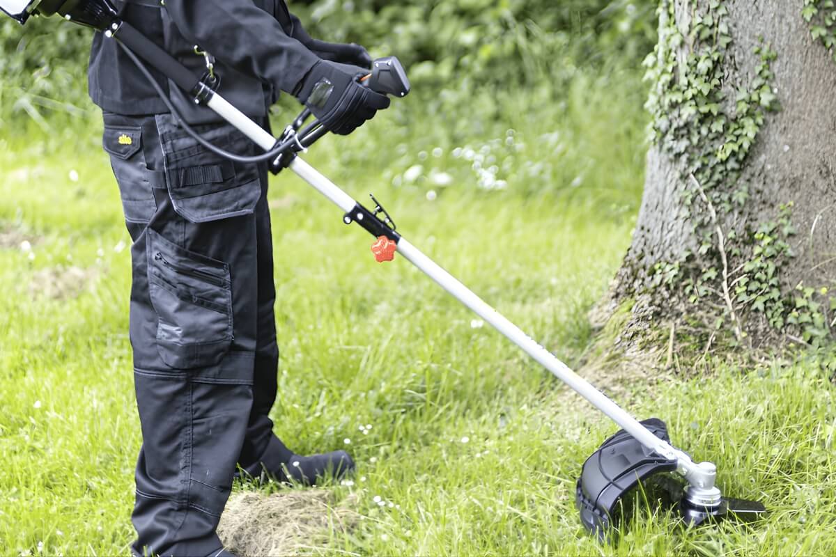 use-of-brush-cutter.jpg