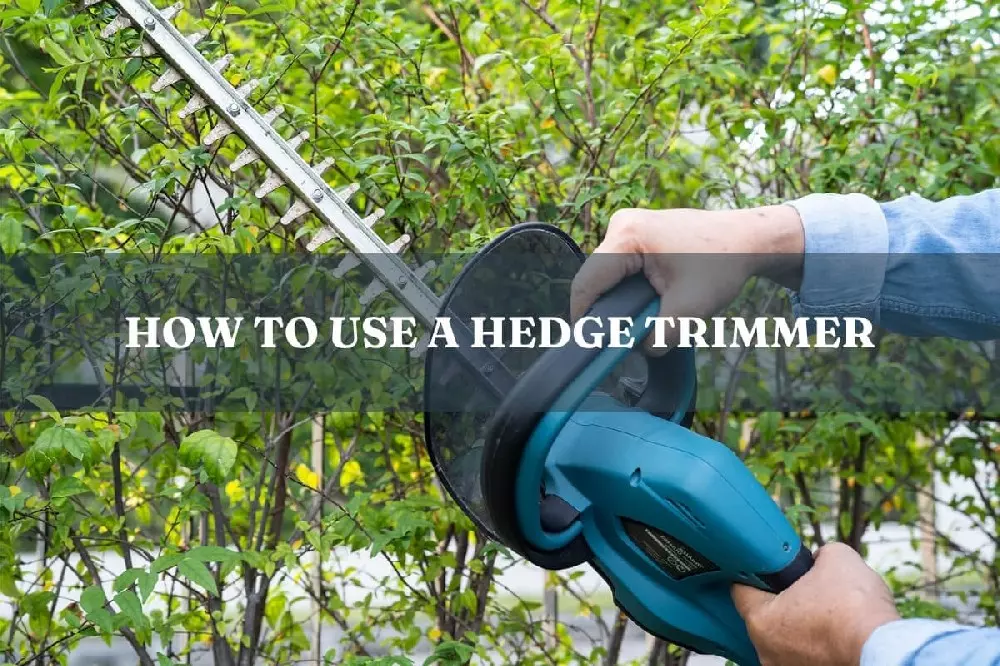 how-to-use-a-hedge-trimmer.jpg
