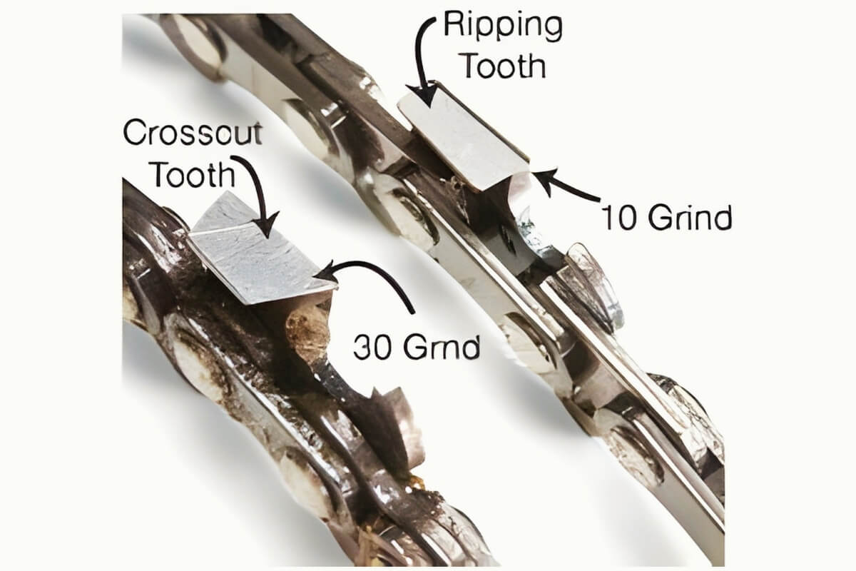 crosscut-and-ripping-tooth.jpg