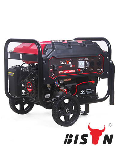 The Portable Generator That Wins Customers