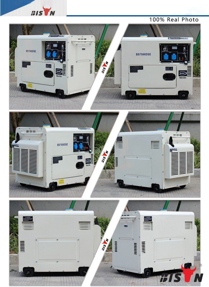 hjemme backup diesel generator foto