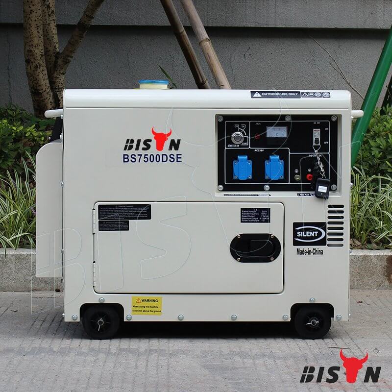 3KW home backup diesel generator