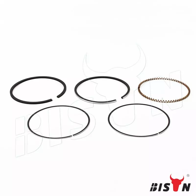 piston ring