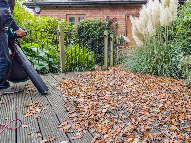 corded leaf blower