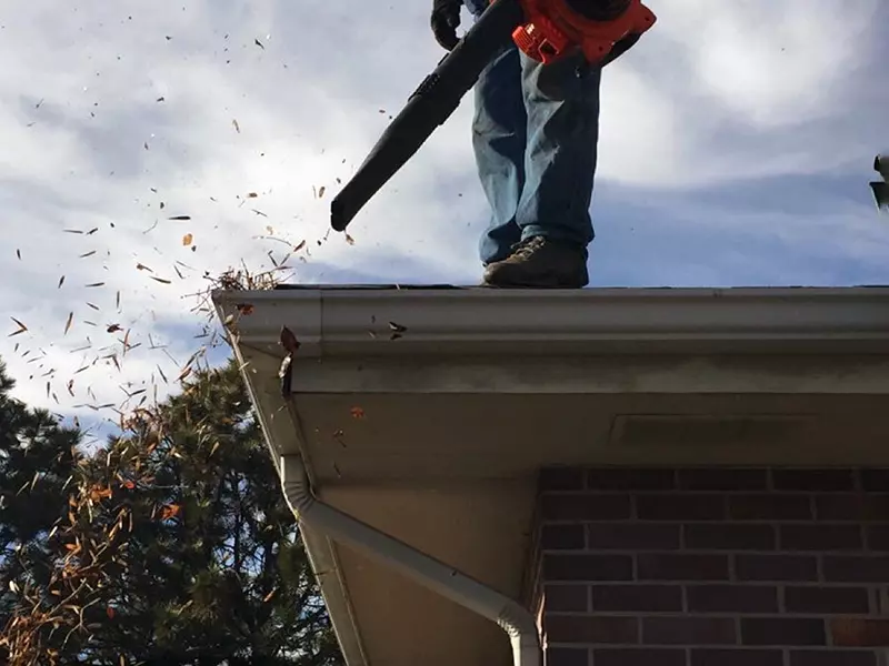 cordless leaf blower